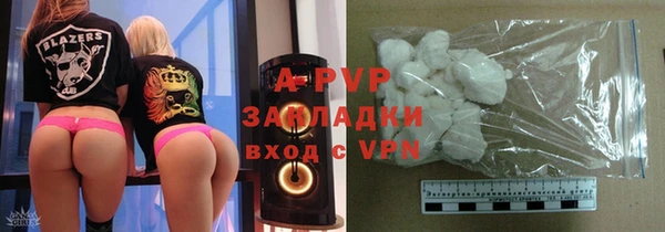 индика Майский