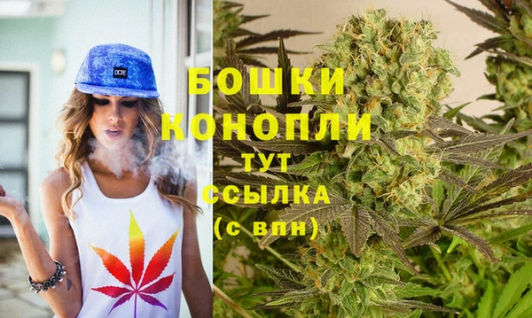 индика Майский