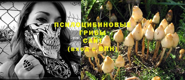 индика Майский