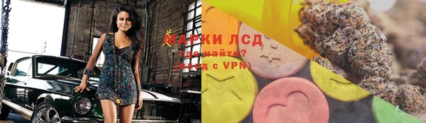 индика Майский